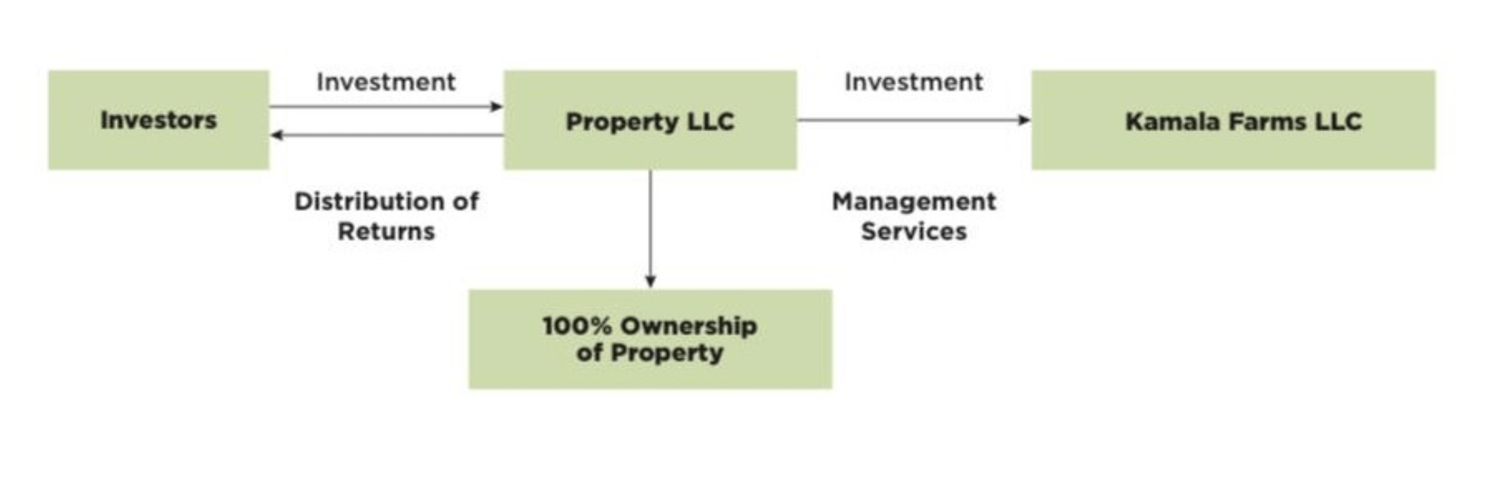 Investment Structure